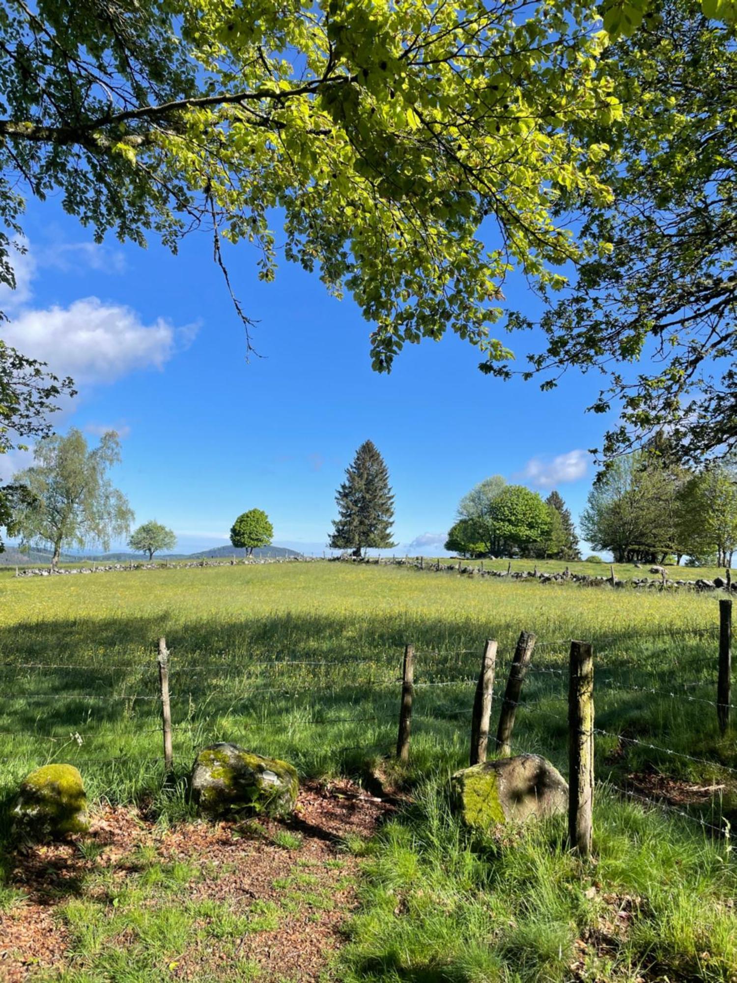 Le Gite Cozy De Bouvacote Avec Vue Panoramique Et Sauna Le Tholy Exterior foto